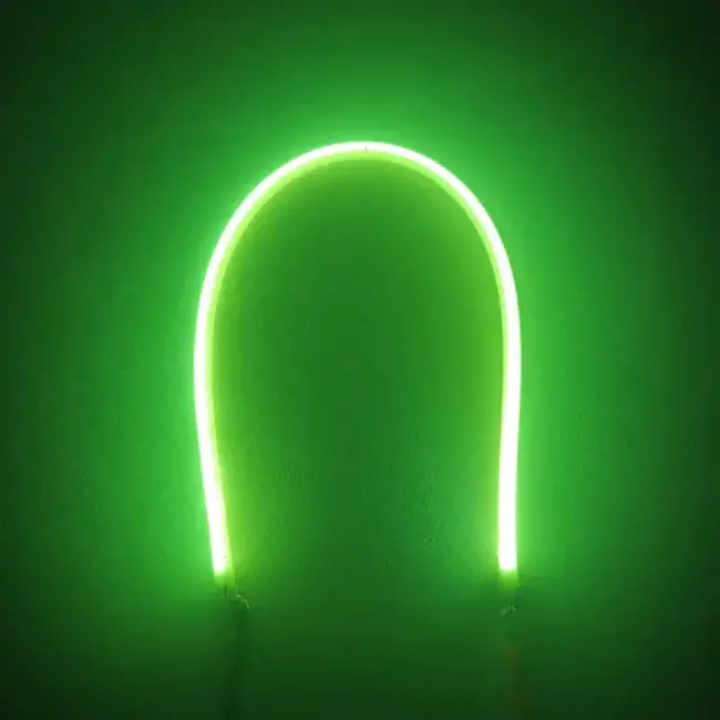 RACE FLEXIBLE LED FILAMENT 3V