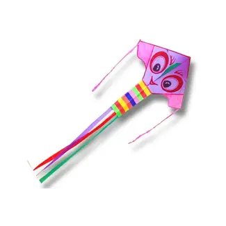 HAAK HIGH AS A KITE HAAK BRIGHT EYES SINGLE STRING KITE