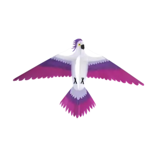 HAAK HIGH AS A KITE HAAK PARROT 1.6 x .95M SINGLE LINE KITE