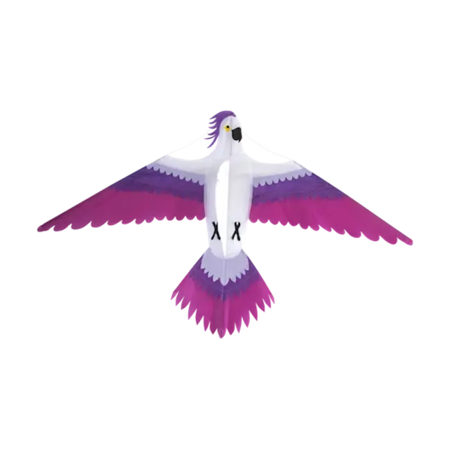 HAAK PARROT 1.6 x .95M SINGLE LINE KITE