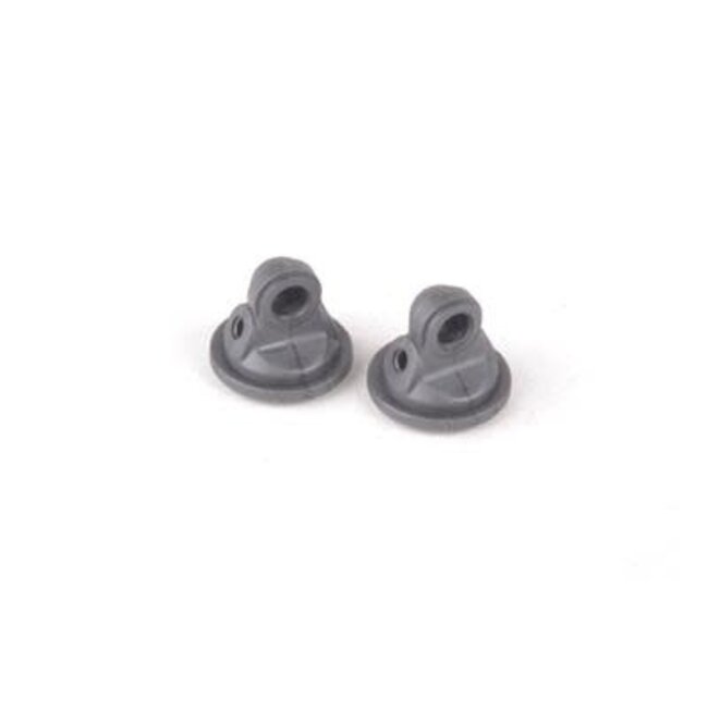 Schumacher Shock Top Cougar KC/D (2)
