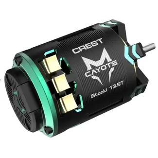 CAYOTE ***DUE 21/MAY/26*** CAYOTE CREST 1/10 Stocki Motor