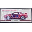BIANTE  1:18 #4 GIO NISSAN SKYLINE GT-R R32 1991 SANDOWN 500 WINNER GIBBS / ONSLOW  863/1008  "EX DECEASED ESTATE SOLD AS IS "