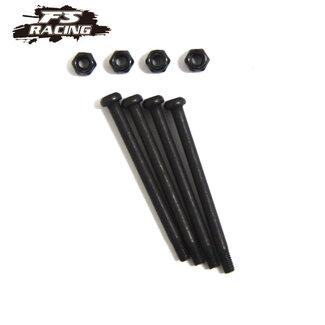 FS RACING FS Racing Hinge Pin M3 41