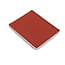 Ustar 91672 Weathering Powder Red Brown