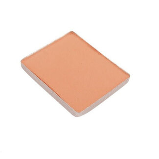 USTAR Ustar 91676 Weathering Powder Flesh
