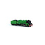 Gopher Models N Scale C38 Class Loco NSWGR 3806 (green)