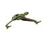 ***PRE-ORDER*** CORGI STAR TREK - KLINGON BIRD OF PREY (THE VOYAGE HOME)