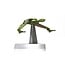 ***PRE-ORDER*** CORGI STAR TREK - KLINGON BIRD OF PREY (THE VOYAGE HOME)