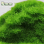 ACE STATIC GRASS FOR SCENERY 30g