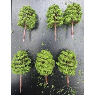CHINA ELECTRONICS ACE TREES DARK GREEN 6  PACK