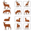 Eve Model DEER   Painted HO ( 12 pce ASSORTED )