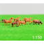 Eve Model HORSES BROWN & BLACK  Painted N SCALE  ( 20 pce ASSORTED )