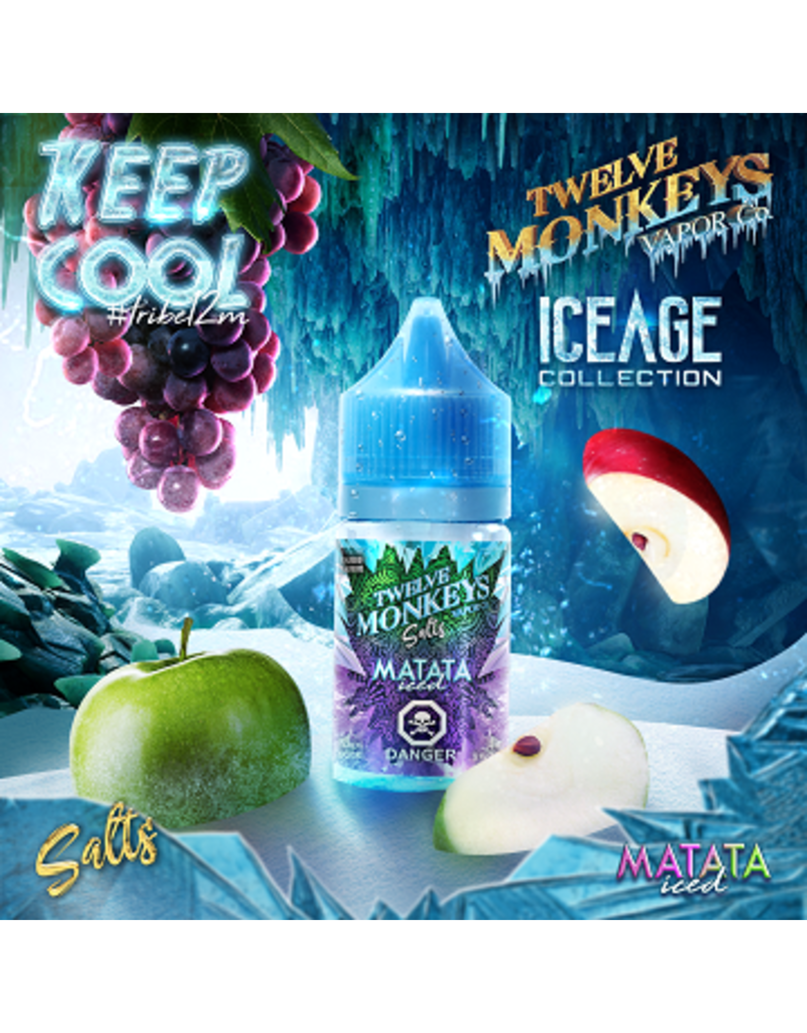 TWELVE MONKEYS TWELVE MONKEYS ICED NIC SALTS