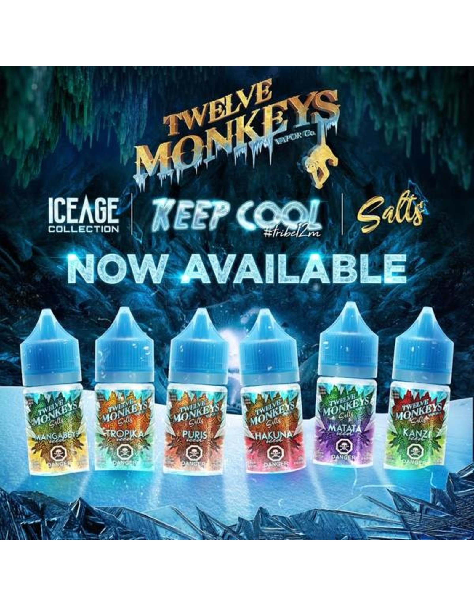 TWELVE MONKEYS TWELVE MONKEYS ICED NIC SALTS