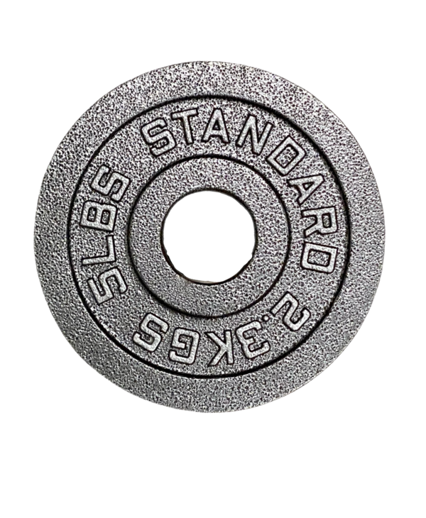 Gym Concepts GC Standard Cast Iron Olympic Plate, Pair