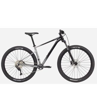 Cannondale 29 M Trail SE 4 GRY LG