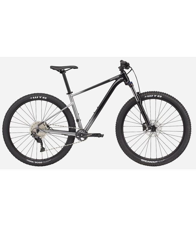Cannondale 29 M Trail SE 4 GRY LG