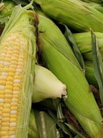 Campbell's Orchards Sweet Corn