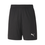 Puma TeamGoal23 Shorts - 704262/704379