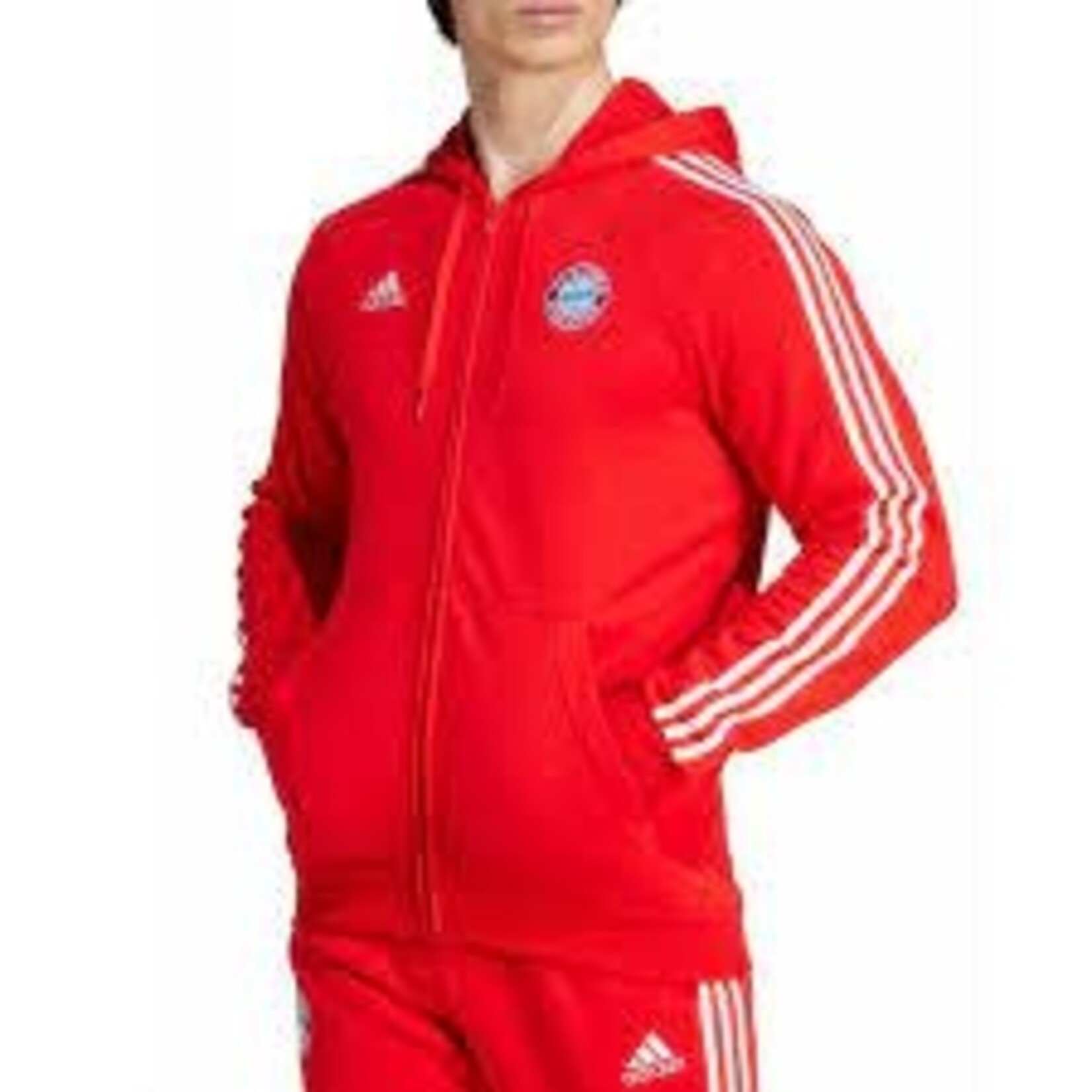 Adidas Bayern Munich DNA Full Zip 23/24 - HY3284