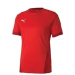 Puma TeamGoal 23 Jersey - 704160