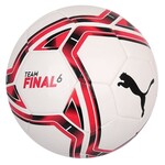 Puma TeamFinal 21.6 MS Ball