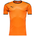 Puma Liga Jersey