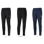 Puma TeamLiga Training Pants