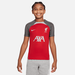 Nike Liverpool FC Strike Nike Dri-FIT Soccer Knit Top