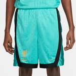 Nike LeBron x Liverpool FC Dri-FIT DNA 8" Basketball Shorts