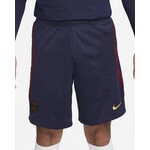Nike Paris Saint-Germain Strike Men's Nike Dri-FIT Knit Soccer Shorts