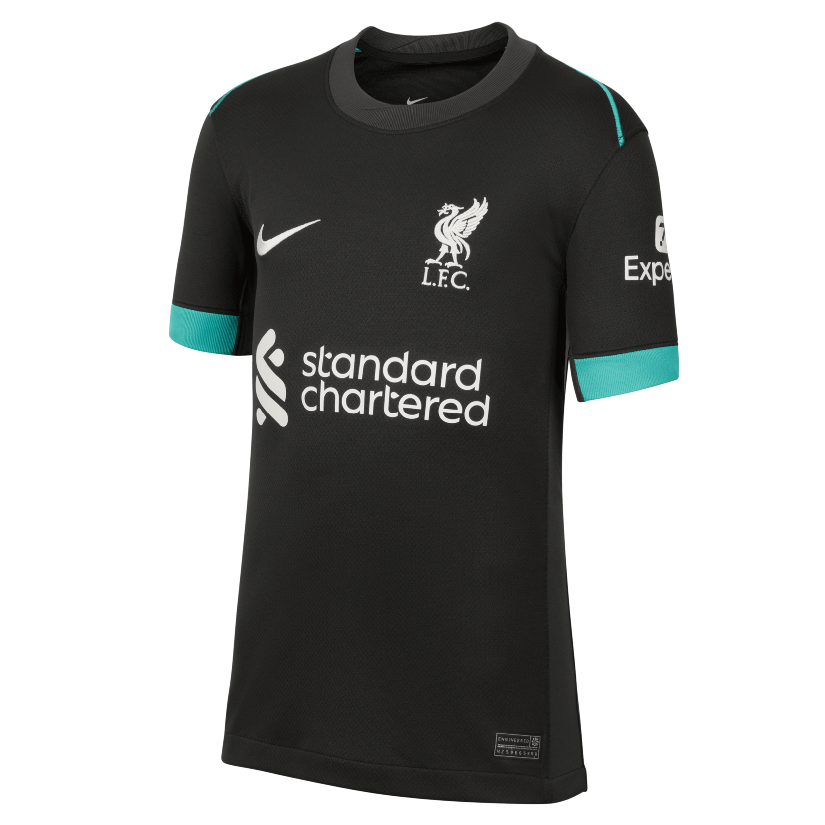 Nike Liverpool FC 2024/25 Stadium Away Jersey Jr.