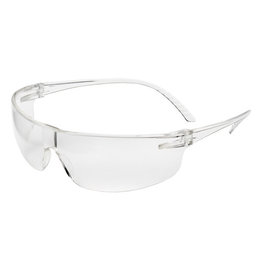 Uvex Honeywell/UVEX Safety Glasses, Clear/Anti-Fog/Scratch