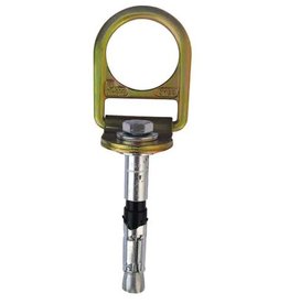 3M 3M DBI Sala Reusable/Permanent  Concrete D-Ring Anchor