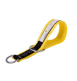 Guardian Premium Cross Arm Anchor Strap