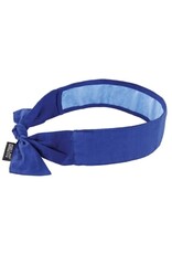 Ergodyne Chill Its Cooling Bandana