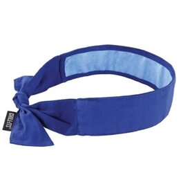 Ergodyne Chill Its Cooling Bandana