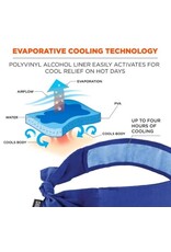 Ergodyne Chill Its Cooling Bandana