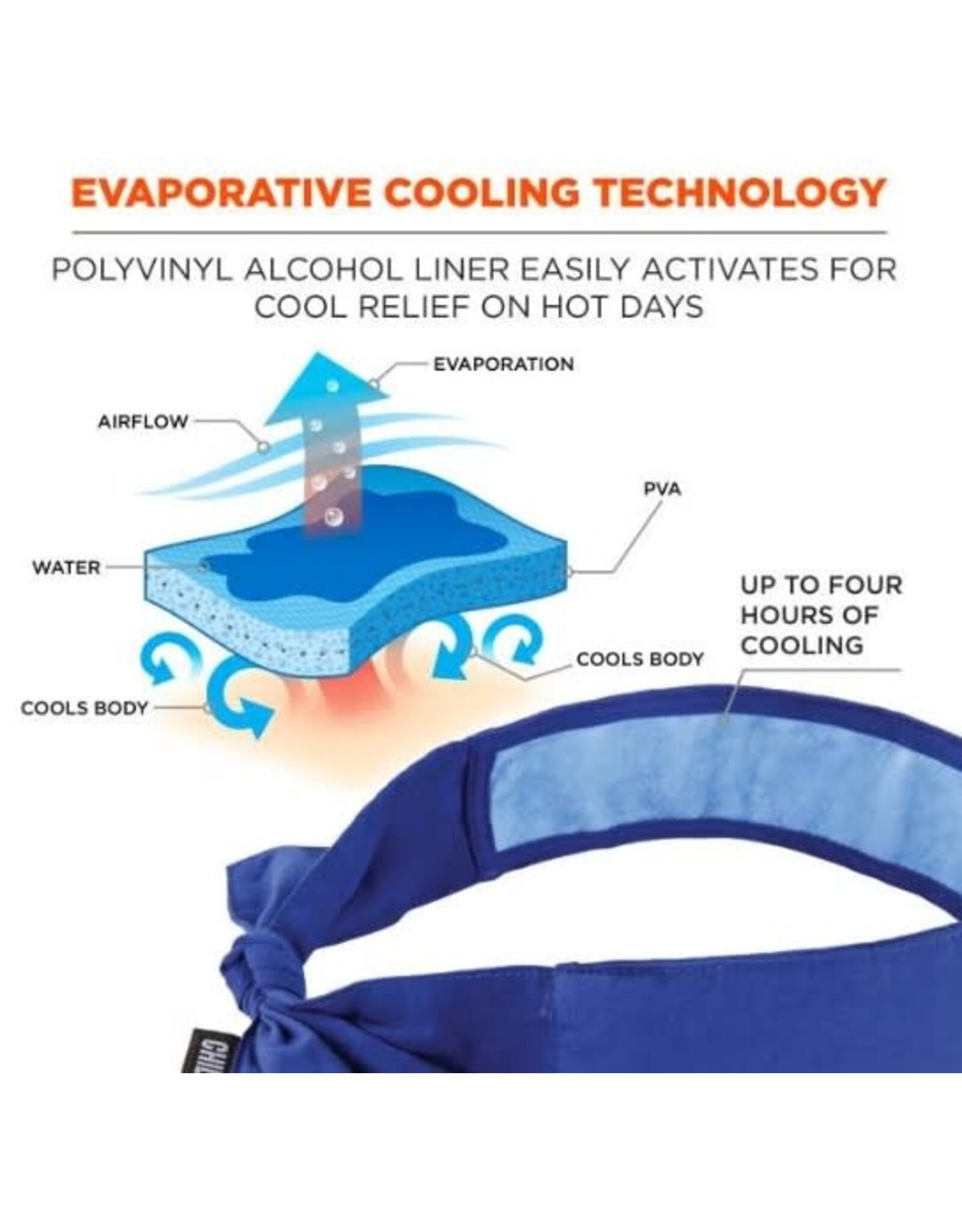 Ergodyne Chill Its Cooling Bandana