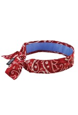 Ergodyne Chill Its Cooling Bandana