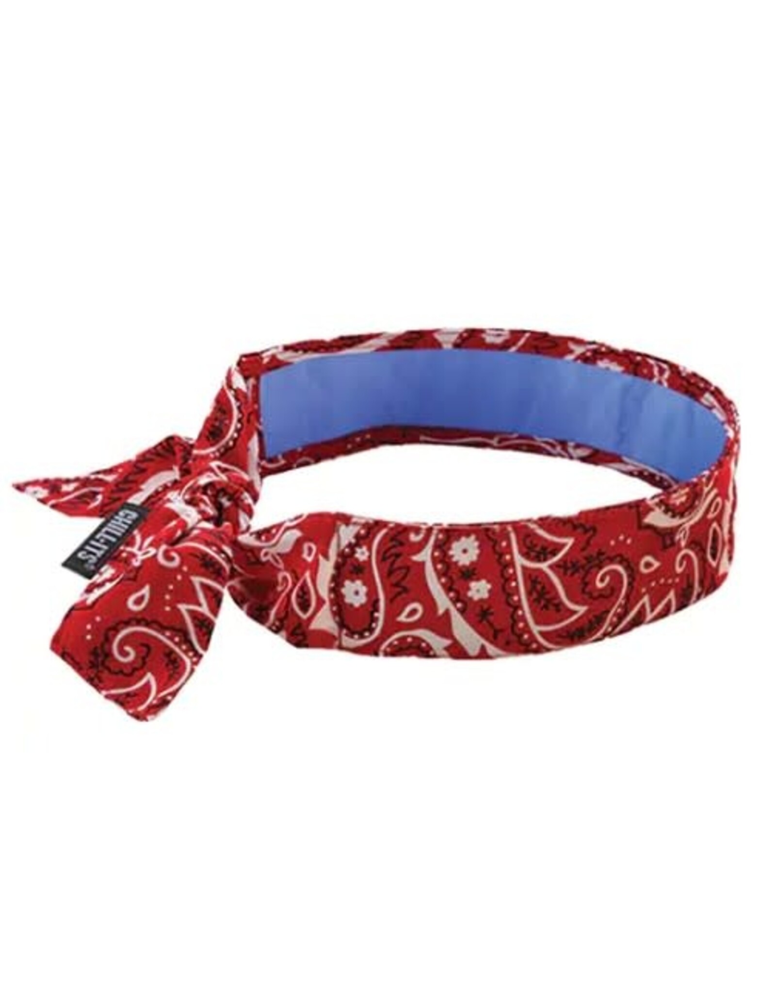 Ergodyne Chill Its Cooling Bandana