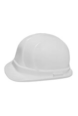 Dentec Lidguard Hard Hat, Type 1, Ratchet