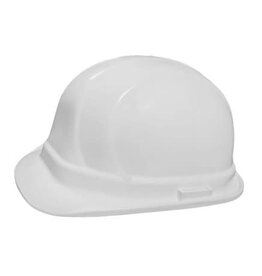 Dentec Lidguard Hard Hat, Type 2, Ratchet