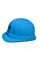 Dentec Lidguard Hard Hat, Type 2, Ratchet
