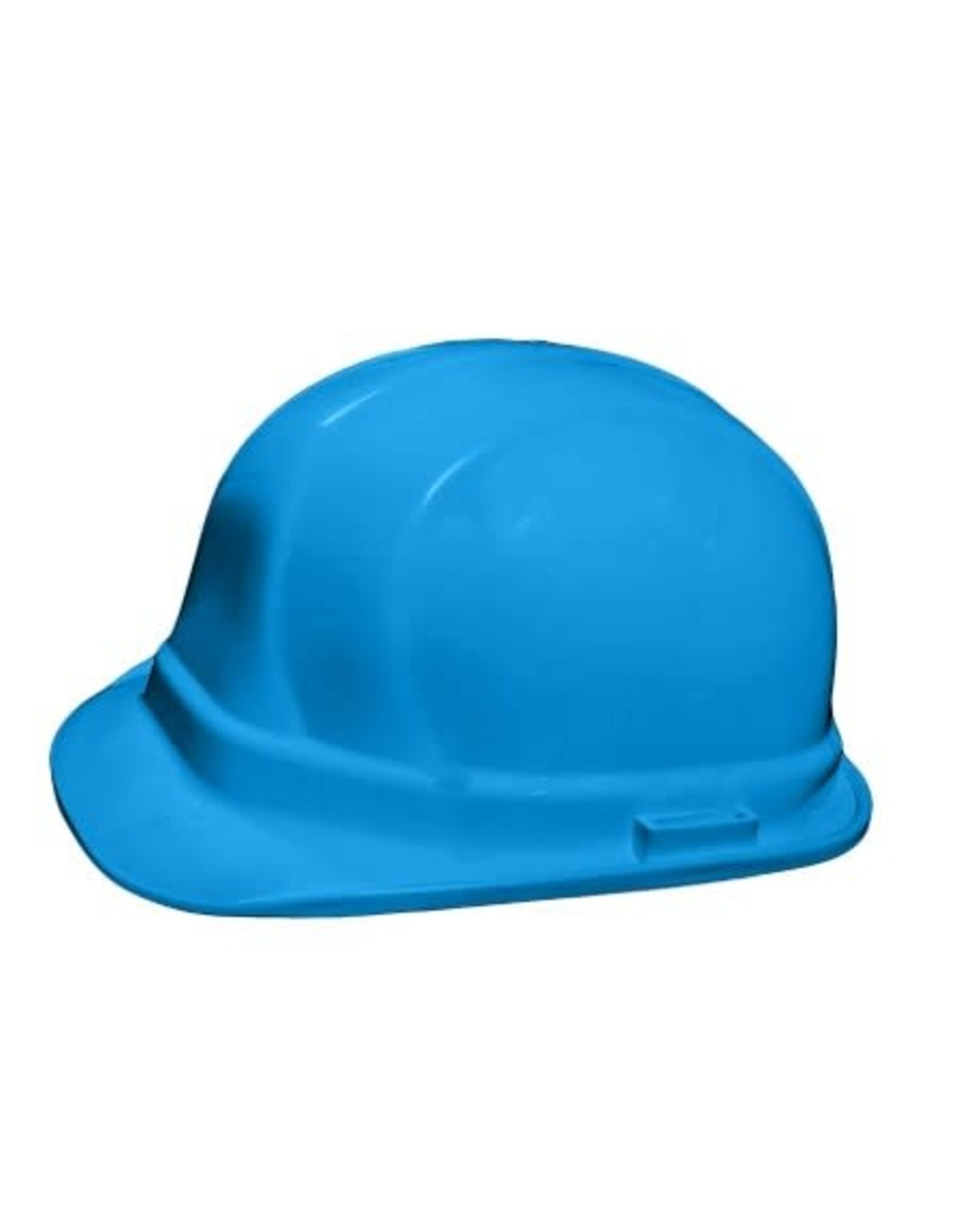 Dentec Lidguard Hard Hat, Type 2, Ratchet