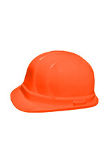 Dentec Lidguard Hard Hat, Type 1, Ratchet