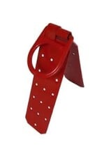 Dentec Reusable Roof Anchor