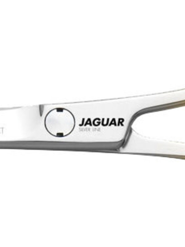 Jaguar Ciseaux Branches Décalées 5-1/2'' - Salons et Boutique Industria  Coiffure