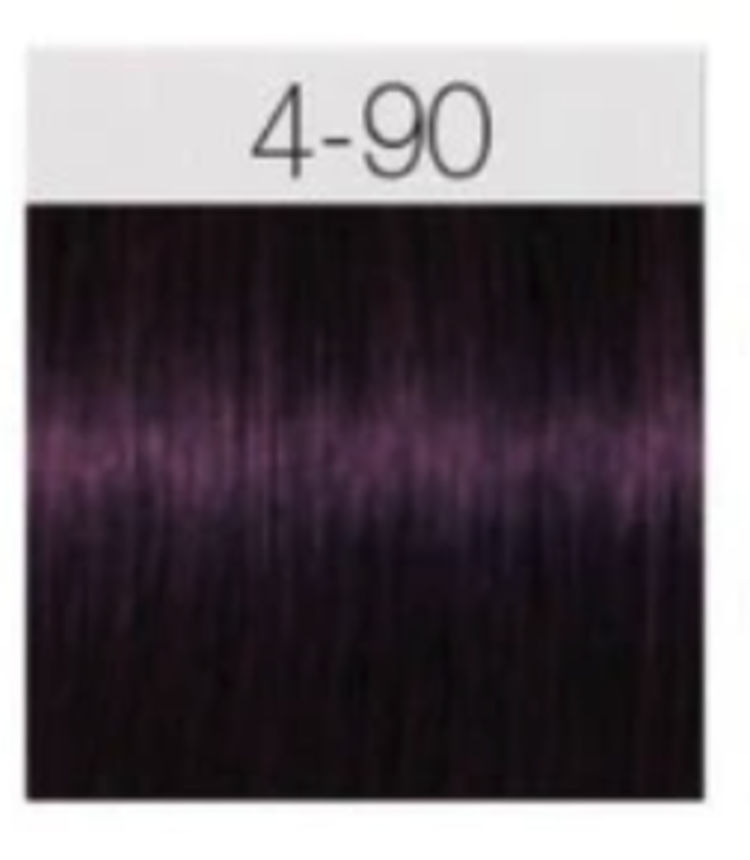 SCHWARZKOPF IGORA ROYAL | ABSOLUTES  Permanente Hair Color 60ml